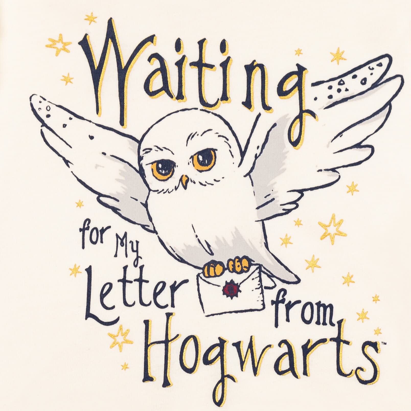 Harry Potter Hogwarts Hedwig Owl Slytherin Hufflepuff Ravenclaw Girls French Terry Pullover Hoodie Toddler to Big Kid - Image 4