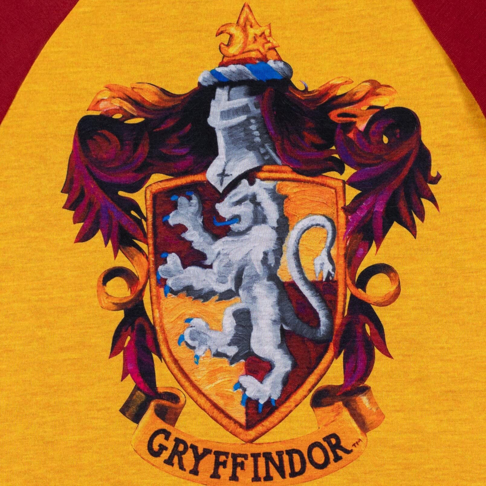 Harry Potter Hufflepuff Ravenclaw Slytherin Gryffindor Boys/Girls Pajama Shirt and Pants Little Kid to Big Kid - Image 8
