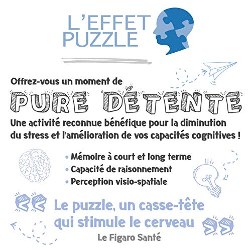 Ravensburger - Ottawa Winterlude Festival - 1000 Piece Jigsaw Puzzle - Stunning Winter Scene of Ottawa at Night During The Holidays - Premium Quality - Ages 12+ - Image 7