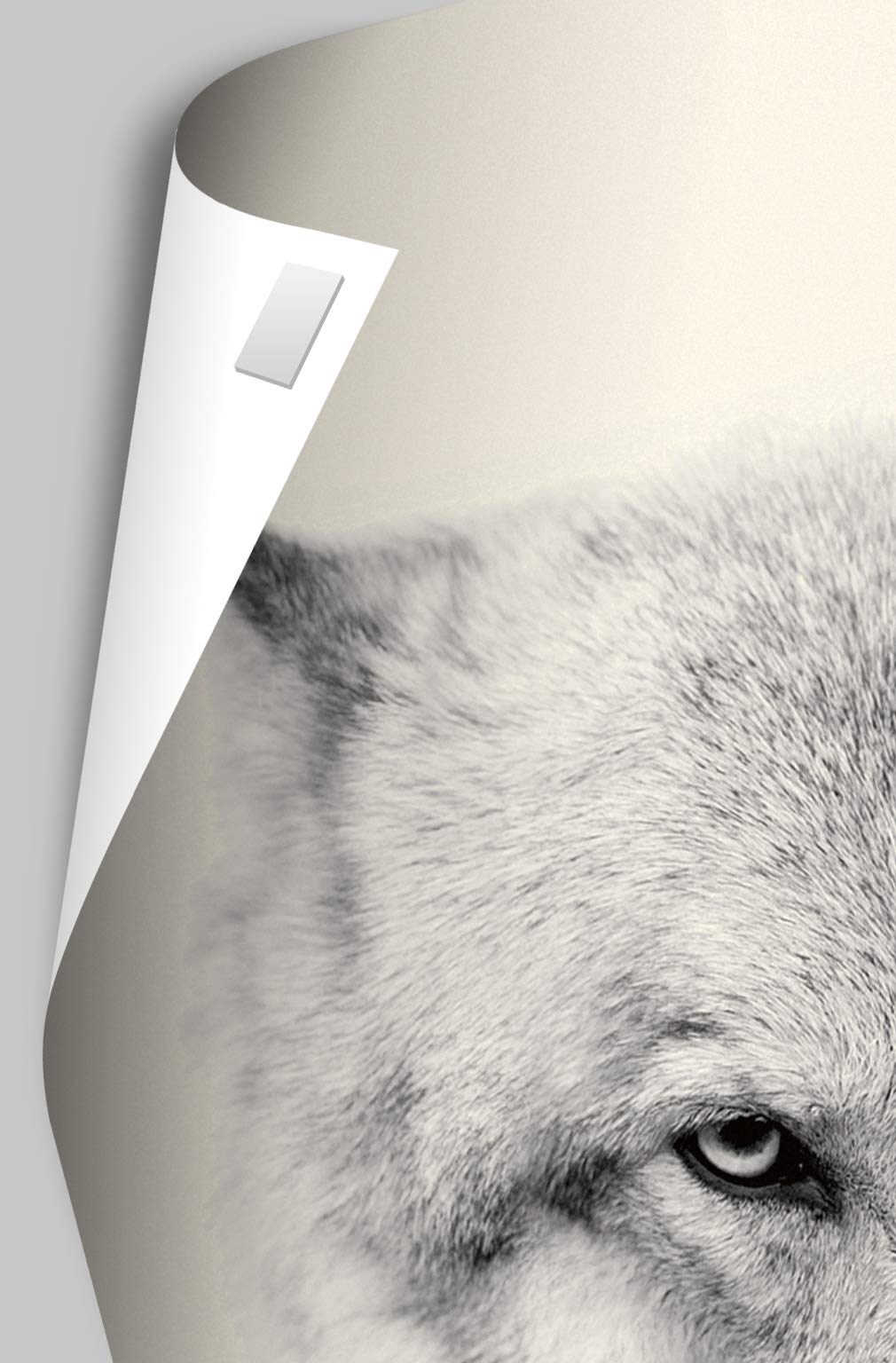 Trends International The Wizarding World: Harry Potter - Illustrated Hogwarts Wall Poster, 22.375" x 34", Poster & Mount Bundle - Image 4